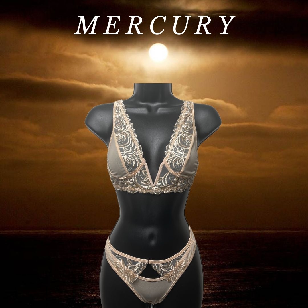 "Mercury" V-Neck Mesh Lingerie Set freeshipping - Venes Intimates